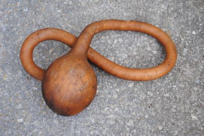 Extra Long Handled Dipper Gourd (Certified Organic) - Image 3