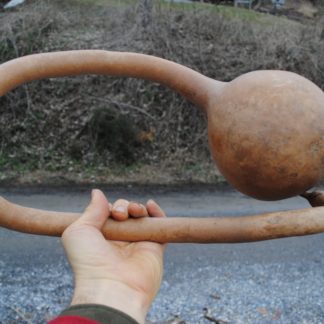 Extra Long Handled Dipper Gourd (Certified Organic)