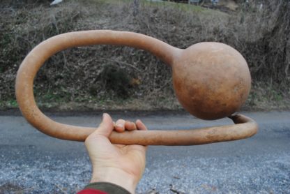 Extra Long Handled Dipper Gourd (Certified Organic)