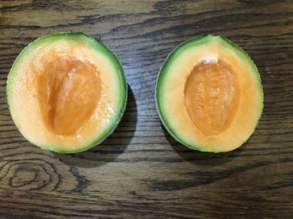 Margie's Melon (Greta Round Selection F8) (Certified Organic) - Image 4