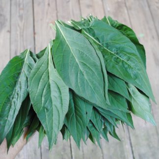 Sokoyokoto (Lagos Spinach) (Certified Organic)