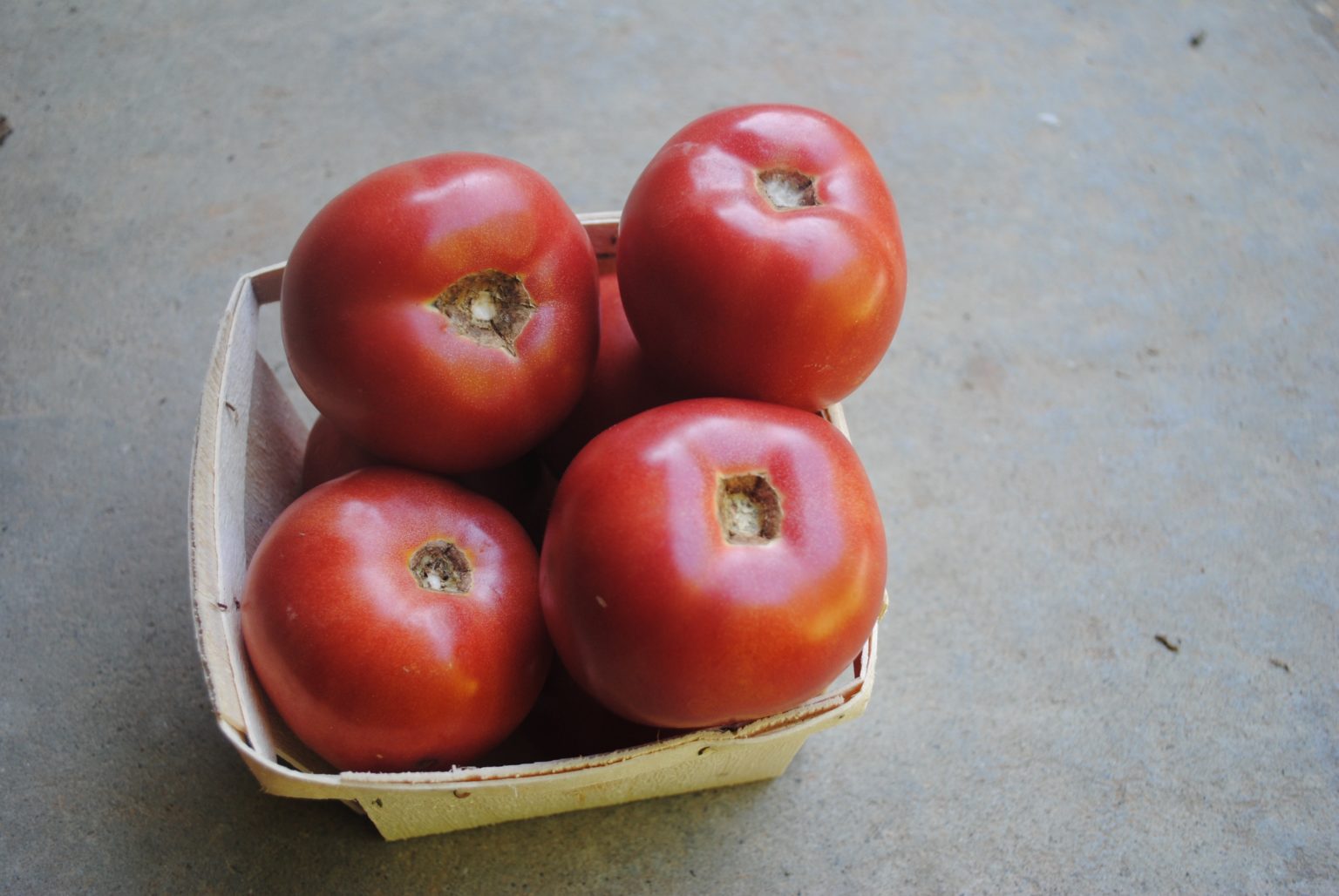 Arkansas Traveler Tomato (Certified Organic)