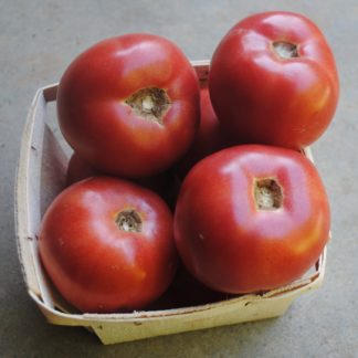 Arkansas Traveler Tomato (Certified Organic)