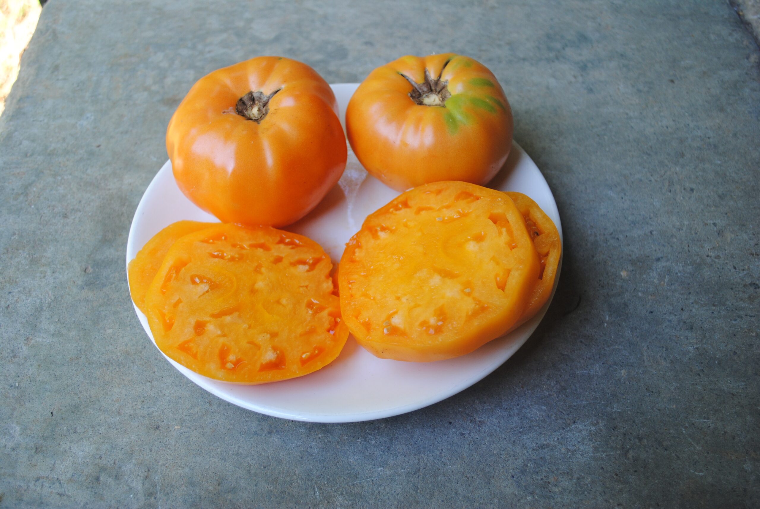 Barnes Mountain Orange Tomato (Certified Organic) - Common Wealth
