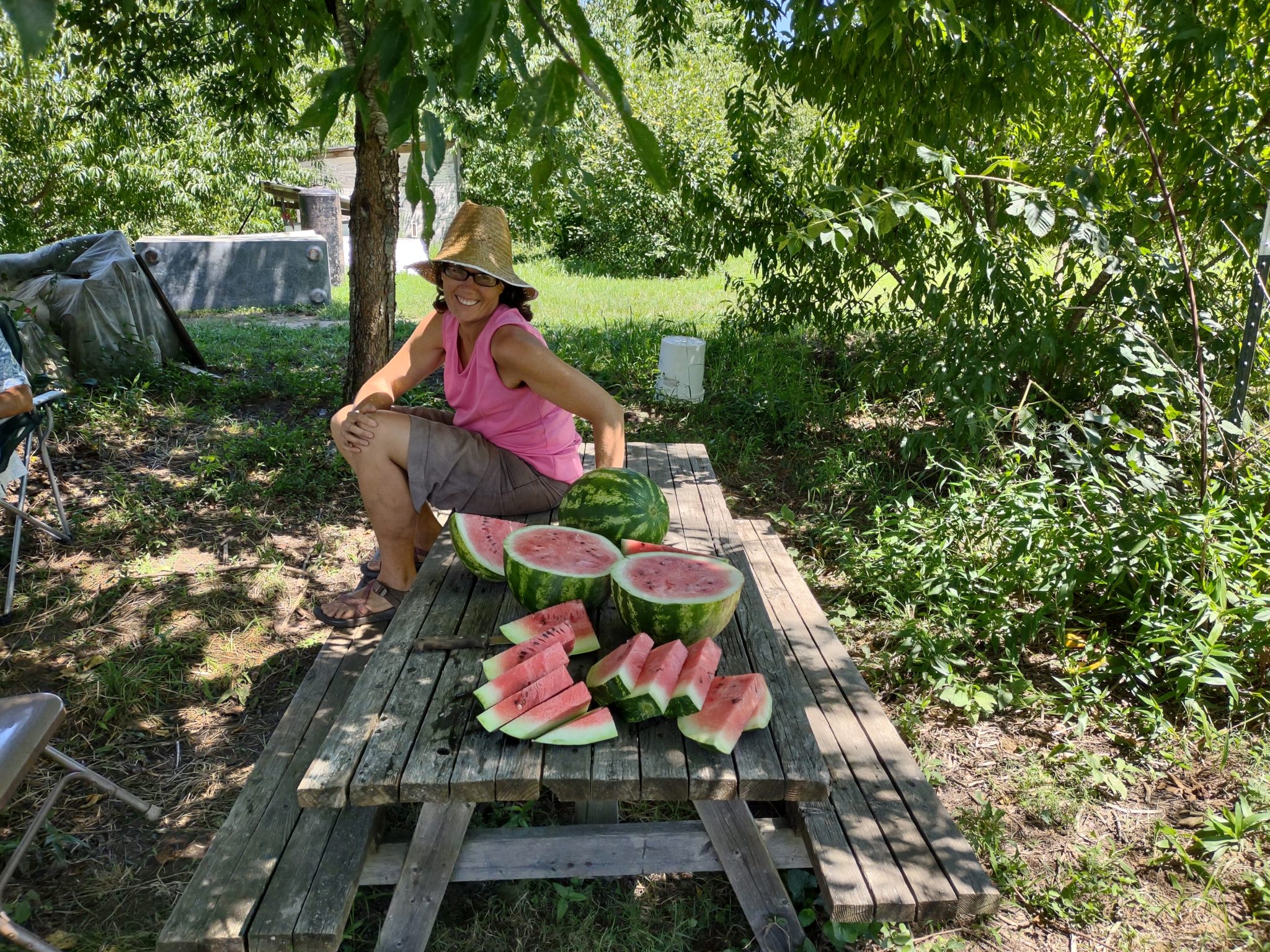Crimson Sweet Virginia Select Watermelon (Certified Organic) - Image 2