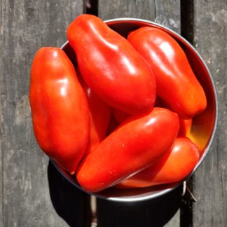 San Marzano Paste Tomato (Certified Organic)