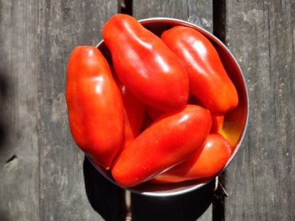San Marzano Paste Tomato (Certified Organic)