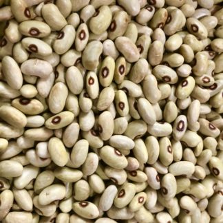 Verdon Dry Bean (Bush Dry Bean) (Certified Organic)