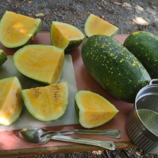 Yellow Moon and Stars Watermelon (Certified Organic)