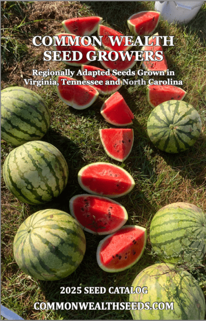 Free 2025 Print Catalog