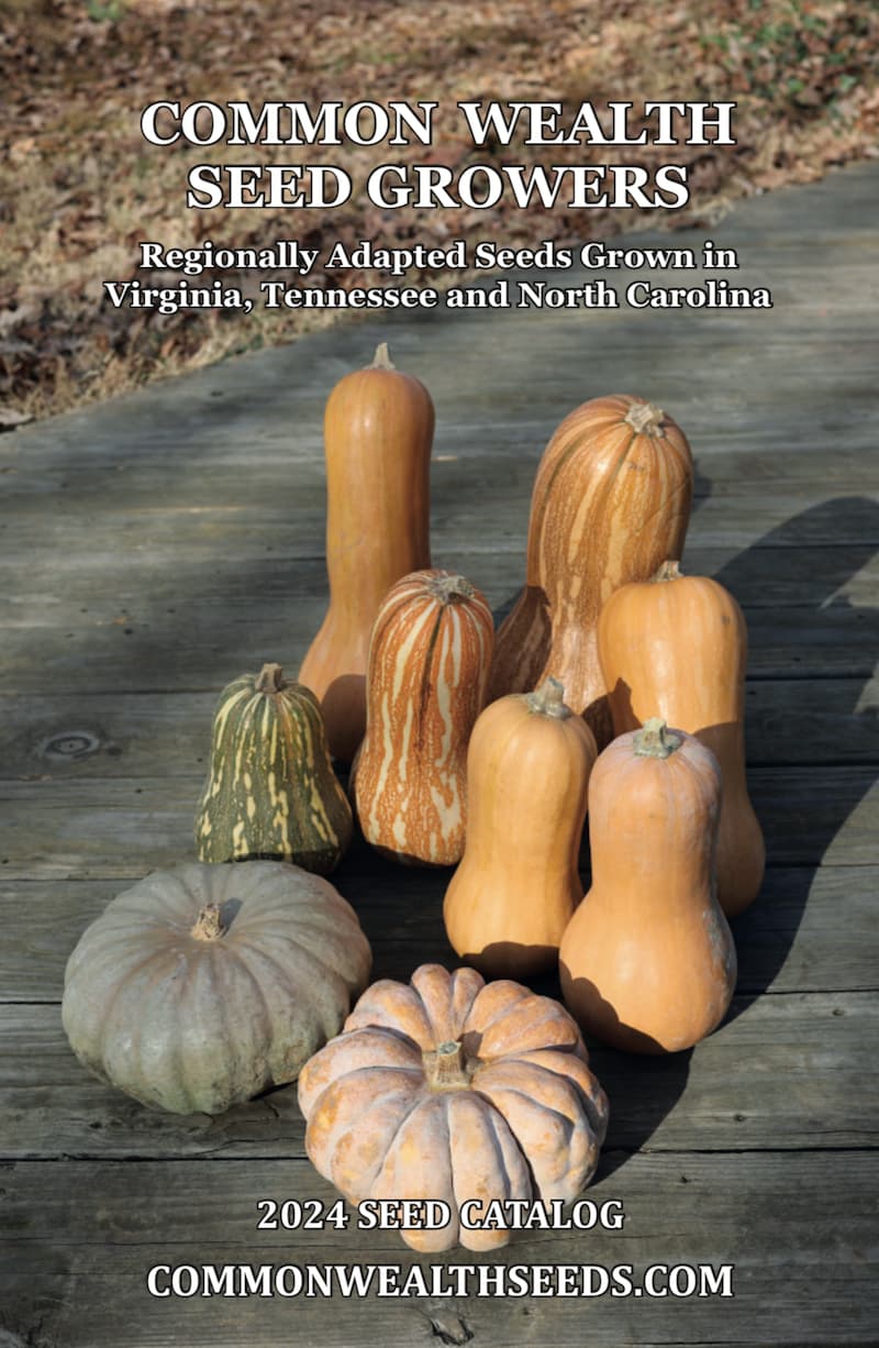 john scheepers kitchen garden seed catalog        
        <figure class=