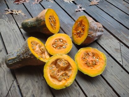 Jamaican Tropical Pumpkin (Certified Organic)