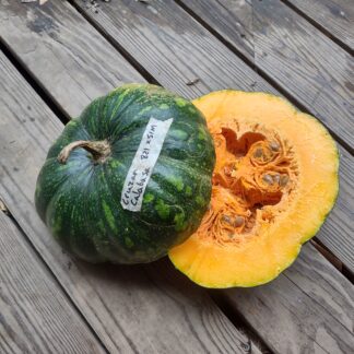 Cruzan Tropical Pumpkin (Certified Organic)