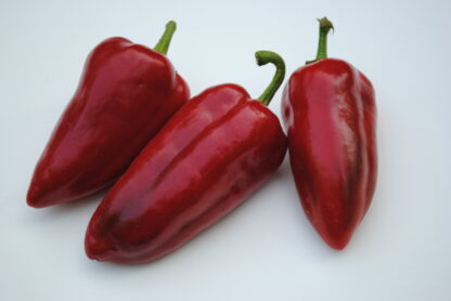 Super Shepherd Sweet Pepper (Ecologically Grown)